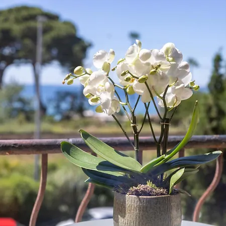 Lou Hotel Juan-les-Pins