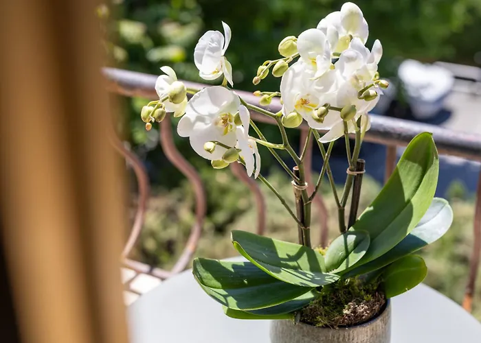 Lou 3* Juan-les-Pins